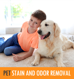 Removing Stains & Odor